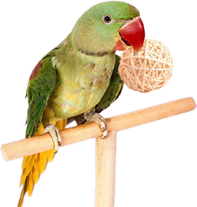 parrot chew toys 30pcs 1.2inch rattan wicker balls for parakeet conures hamsters bunny toys