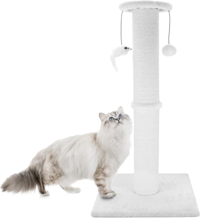 34-Inch heavy-duty grey cat scratching post with cotton rope and hanging ball for indoor cats