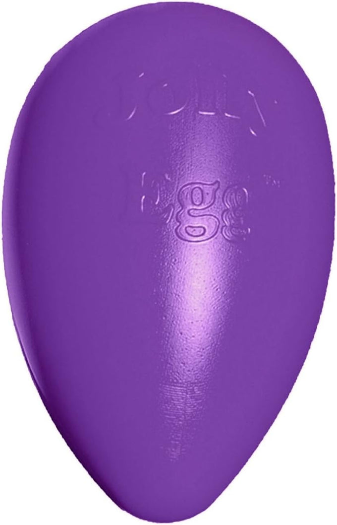 Jolly Pets large purple dog toy, 12 inches, USA made, floats, durable