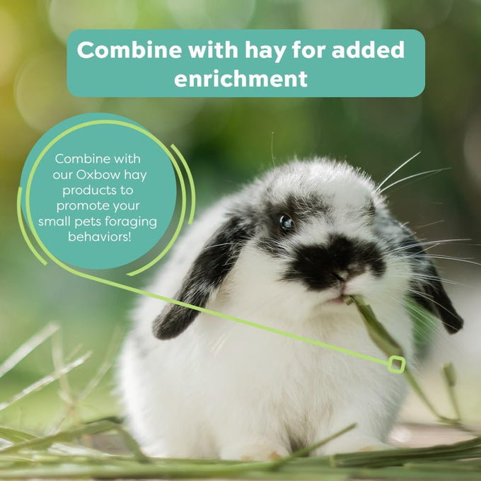Oxbow Hay Toppers Garden Blend Timothy Hay Additive 2oz for Small Herbivores Rabbits Chinchillas Guinea Pigs
