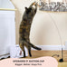 Whiskertons Interactive Bird Simulation Cat Toy Set for Indoor Cats with Suction Base, 5 Replacement Birds, Feathers & Bells