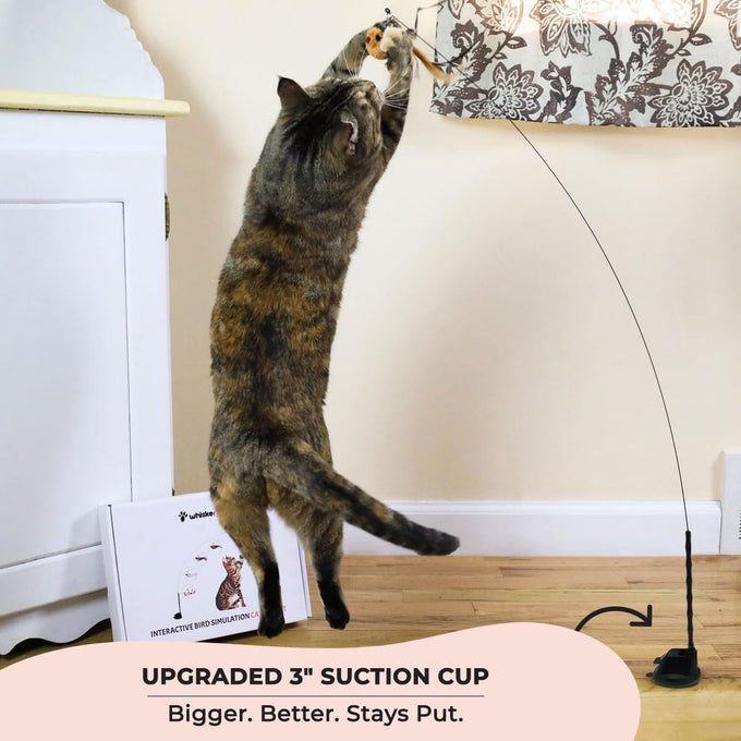 Whiskertons Interactive Bird Simulation Cat Toy Set for Indoor Cats with Suction Base, 5 Replacement Birds, Feathers & Bells