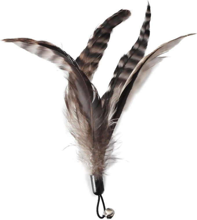 No Chemical Dyeing Cat Feather Toys - Includes Cat Wand and Natural Feather Refills for Indoor Cats - Safe and Eco-Friendly