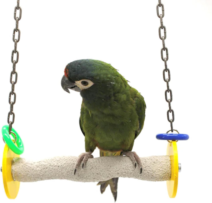 Sweet Feet and Beak XSmall Pumice Perch Bird Swing - Blue, 4.5 Inches, Safe Bird Cage Accessories for Small Birds