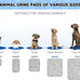 Sunheir Washable Pee Pads for Dogs, Grey, 2 packs, Heavy Absorbency, Waterproof, Non-Slip, Reusable, Potty Training
