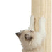 Best Pet Supplies Catify Beige Cat Scratcher, Peel & Stick, Claw Safe, Furniture Saver, Indoor Play, Natural Cat Behaviors, Heavy Duty, L: 39"