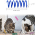 12pcs durable heavy plastic cat spiral springs for indoor cats 12 colors interactive coil fun hunting