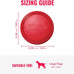 Kong Classic Natural Rubber Flying Disc for Medium/Large Dogs - Durable Outdoor Toy for Fetch Playtime