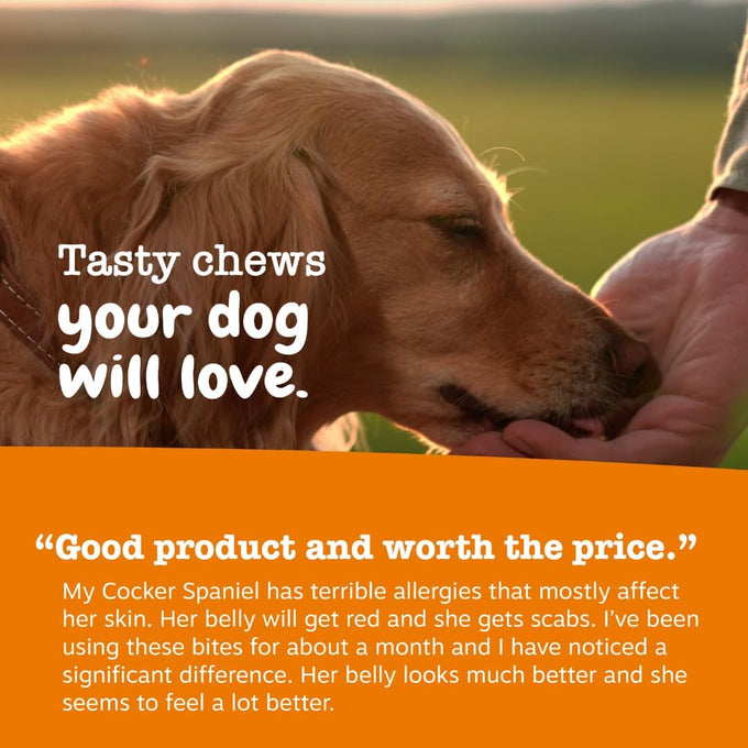 Zesty Paws Lamb Allergy Immune Bites, Dog Probiotics Chews for Itchy Skin and Ears, 90 Count