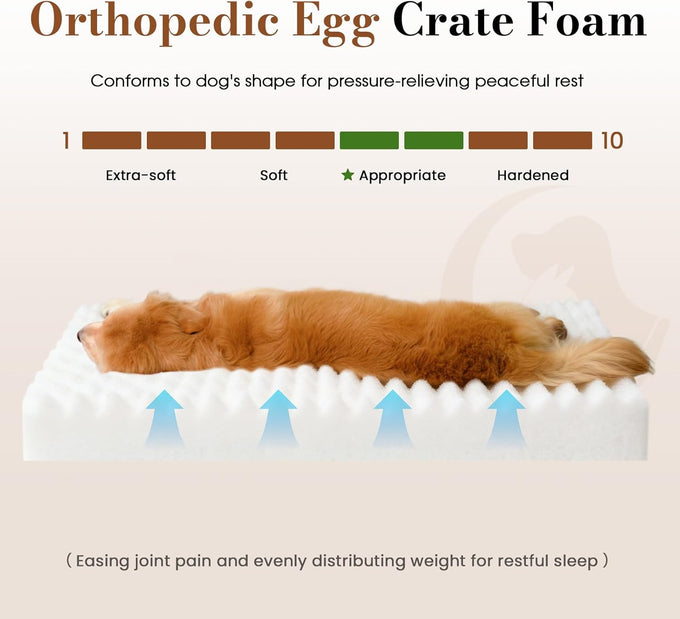 large dog beds with orthopedic support, waterproof lining, and plush surface