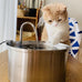 kittySpout stainless steel cat water fountain, 3.2L corded, automatic, quiet, dishwasher safe, 304 stainless steel, 1.5W pump, 20dB noise level