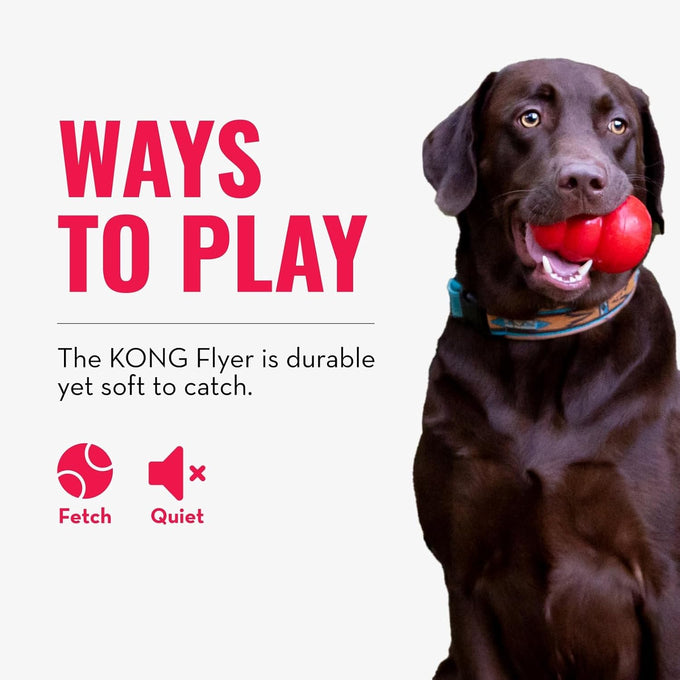 Kong Classic Natural Rubber Flying Disc for Medium/Large Dogs - Durable Outdoor Toy for Fetch Playtime