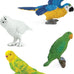 safari ltd exotic birds toob 10 figurines parakeet quetzal macaw hummingbird educational toy for kids