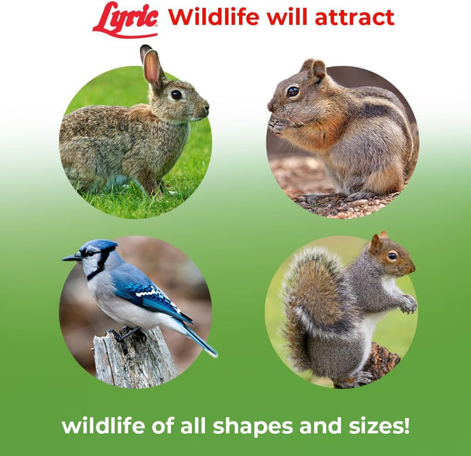 Lyric Wildlife Critter Food & Wild Bird Seed, 10 lb Hand-Crafted Mix, Nutrient-Rich for Deer, Squirrels, Turkeys & Rabbits