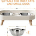 Elevated White Stainless Steel Cat Bowl Set for Indoor Cats with Whisker Fatigue Reduction and Dishwasher Safe -
