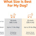 Amazon Basics sturdy gray and blue pet travel carrier for dogs and cats, 22.8"L x 15"W x 13"H