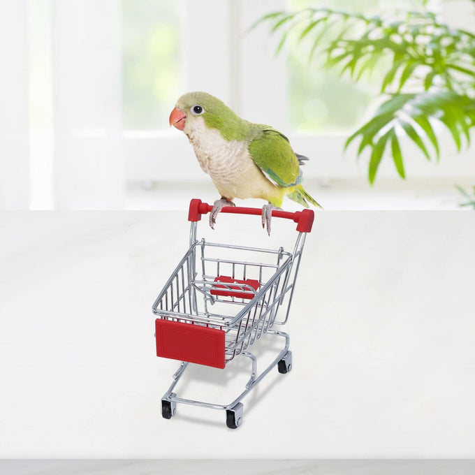 Wontee bird toys mini shopping cart skateboard ring toy set for parrot training and play (3-pack, assorted)