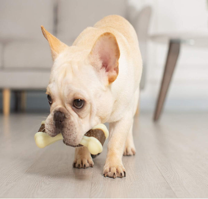 Nylon dog chew toys, 2 pack, beef flavor, indestructible, teething, bone shape, large, medium, small puppies
