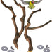 kathson natural parrot bird stand pole wild grape stick paw grinding fork parakeet climbing standing branches toy chewable cage accessories for small budgies cockatiels lovebirds set