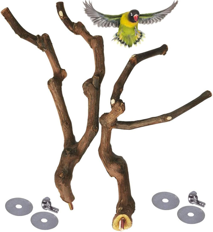 kathson natural parrot bird stand pole wild grape stick paw grinding fork parakeet climbing standing branches toy chewable cage accessories for small budgies cockatiels lovebirds set