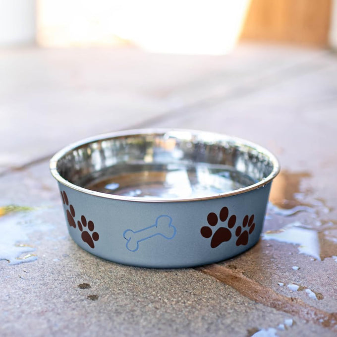 loving pets bella stainless steel dog & cat bowls - spill proof medium 20-35 lbs blueberry