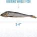 Icelandic+ Whole Fish Herring Dog Treats: 3oz Bag, Pure Wild-Caught, Air-Dried. Single Ingredient Snack, Rich in Protein & Omega-3s for Healthy Skin & Coat.