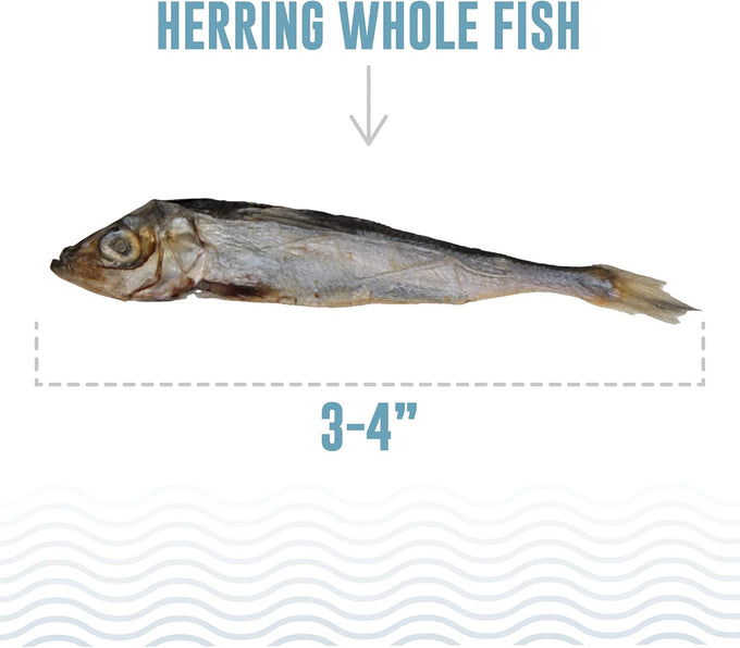 Icelandic+ Whole Fish Herring Dog Treats: 3oz Bag, Pure Wild-Caught, Air-Dried. Single Ingredient Snack, Rich in Protein & Omega-3s for Healthy Skin & Coat.