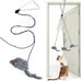 Kalimdor Retractable Interactive Cat Toys, Teaser Toy for Indoor Cats Kitten Play Chase Exercise (2 Pack)