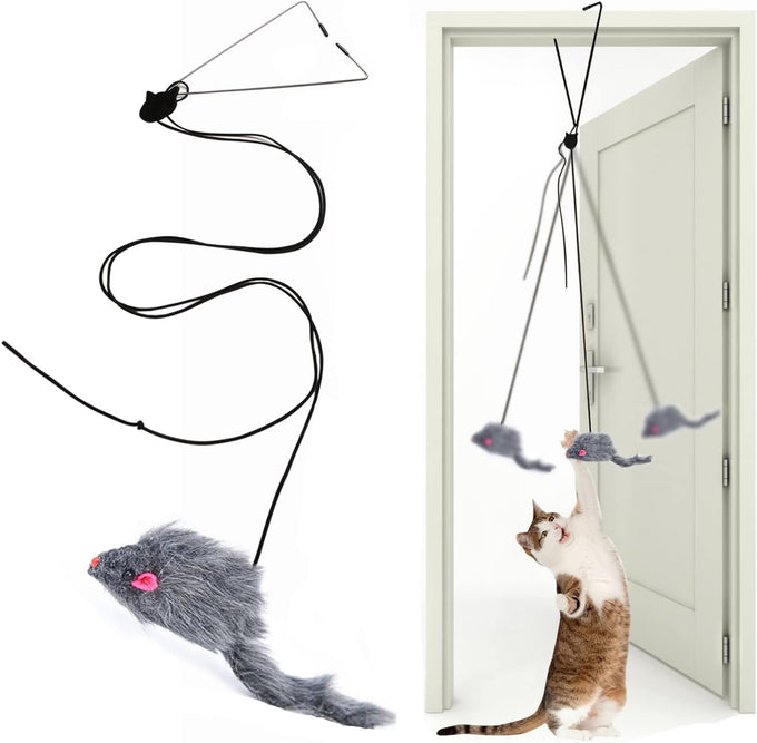 Kalimdor Retractable Interactive Cat Toys, Teaser Toy for Indoor Cats Kitten Play Chase Exercise (2 Pack)