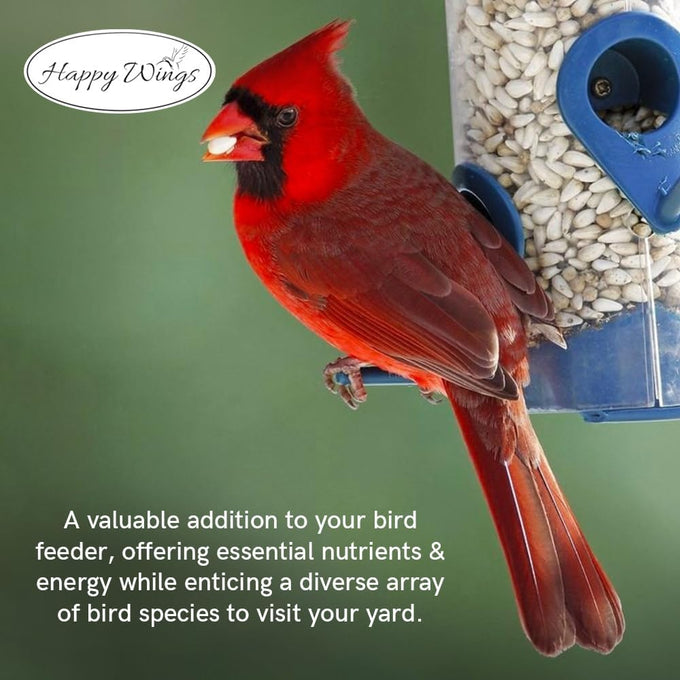 Happy Wings Sunflower Hearts & Chips attract Cardinals and other colorful finches 5 Lb No Mess, No Waste I No Grow Seed