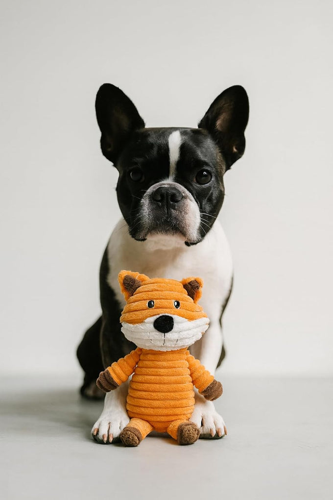Jalousie plush toys for medium large dogs, 5 pack corduroy squeak toy
