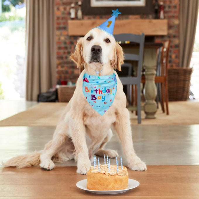 Dog Birthday Bandana Set for Large Medium Small Dogs Pet - Blue, Adjustable Hat with Numbers 0-8