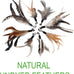 No Chemical Dyeing Cat Feather Toys - Includes Cat Wand and Natural Feather Refills for Indoor Cats - Safe and Eco-Friendly