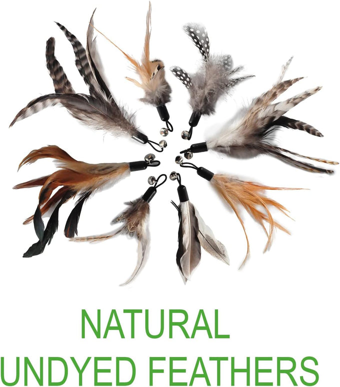 No Chemical Dyeing Cat Feather Toys - Includes Cat Wand and Natural Feather Refills for Indoor Cats - Safe and Eco-Friendly