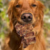 Redbarn natural beef lung chopper treats for dogs, premium made in usa, single ingredient, high protein, low fat, 9 oz bag
