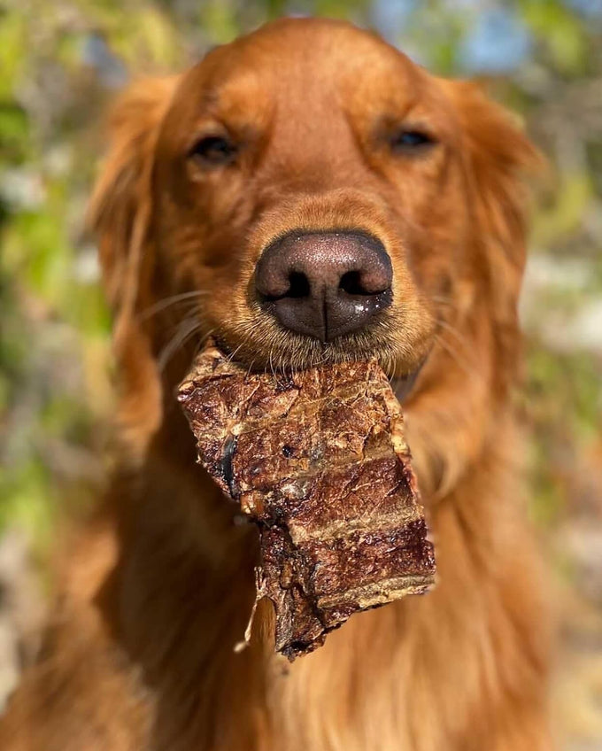 Redbarn natural beef lung chopper treats for dogs, premium made in usa, single ingredient, high protein, low fat, 9 oz bag