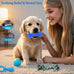 Beiker 20 Pack Blue Rubber Puppy Chew Toys with Teething Rings and Ropes for Small Breed Dogs