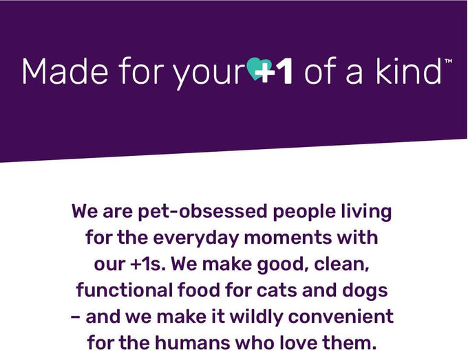 I and love and you Nice Jerky Bites, 4oz Grain-Free Soft & Chewy Dog Treats with Real Beef & Pasture-Raised Lamb, Ideal for Training & Protein Boost, Filler-Free Formula.