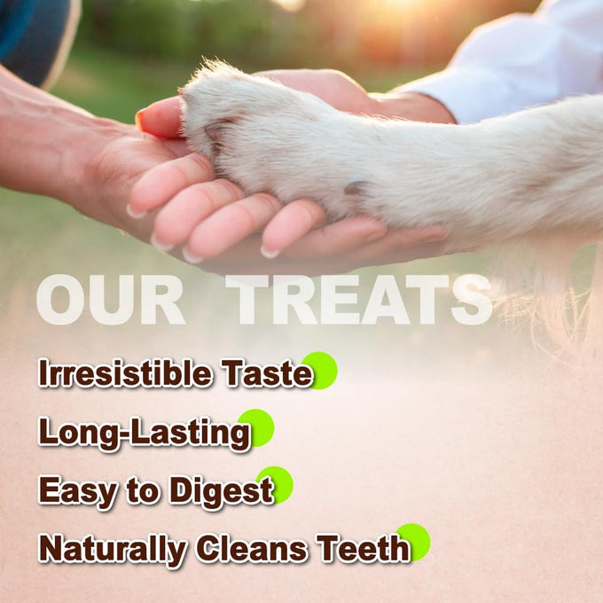 A Freschi srl Turkey Tendons for Small Breeds USA-Sourced Human Grade Long-Lasting Rawhide-Free Puppy Chews 3.53 oz Pack
