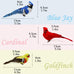 Lwingflyer 3pcs artificial birds realistic red cardinal blue jay yellow goldfinch with wire feet assorted ornaments for xmas tree decoration and crafts
