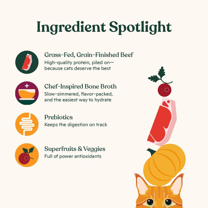 Made by Nacho Wet Cat Food, Grass-Fed Grain Finished Beef Recipe in Bone Broth, Limited Ingredients, 12 Pouches