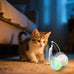 Remote Control Cat Toy with Auto Mode - Interactive Feather for Indoor Cats with LED and Catnip