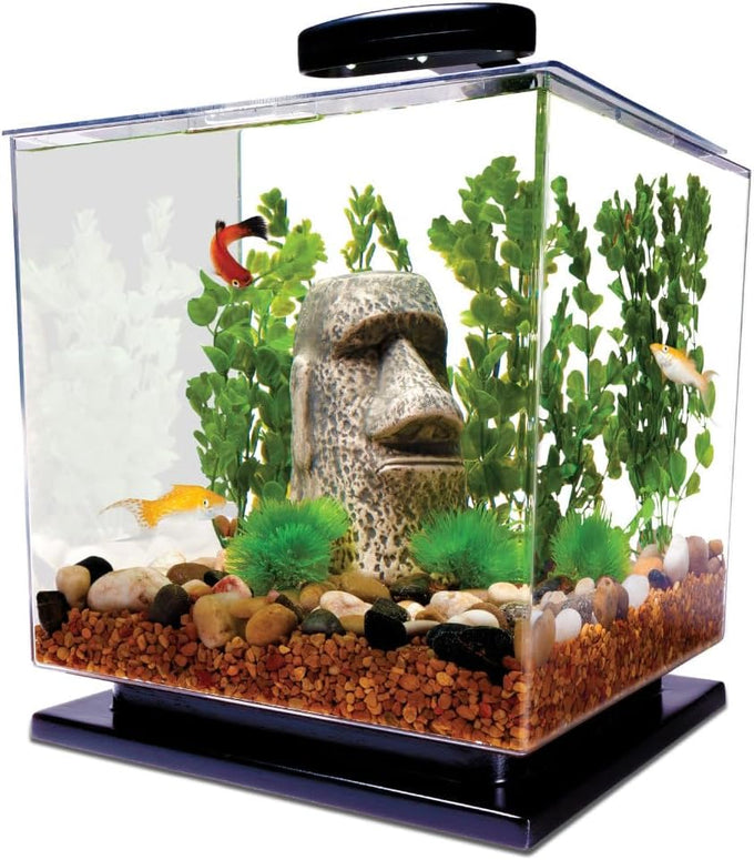 Tetra 3-gallon cube-shaped aquarium kit with pedestal base, LED light, and filter for small tropical fish