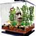 Tetra 3-gallon cube-shaped aquarium kit with pedestal base, LED light, and filter for small tropical fish