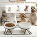  Raised Ceramic Cat Bowl Set with 15° Tilt, Double Ceramic Bowls, Easy Clean for Indoor Cats
