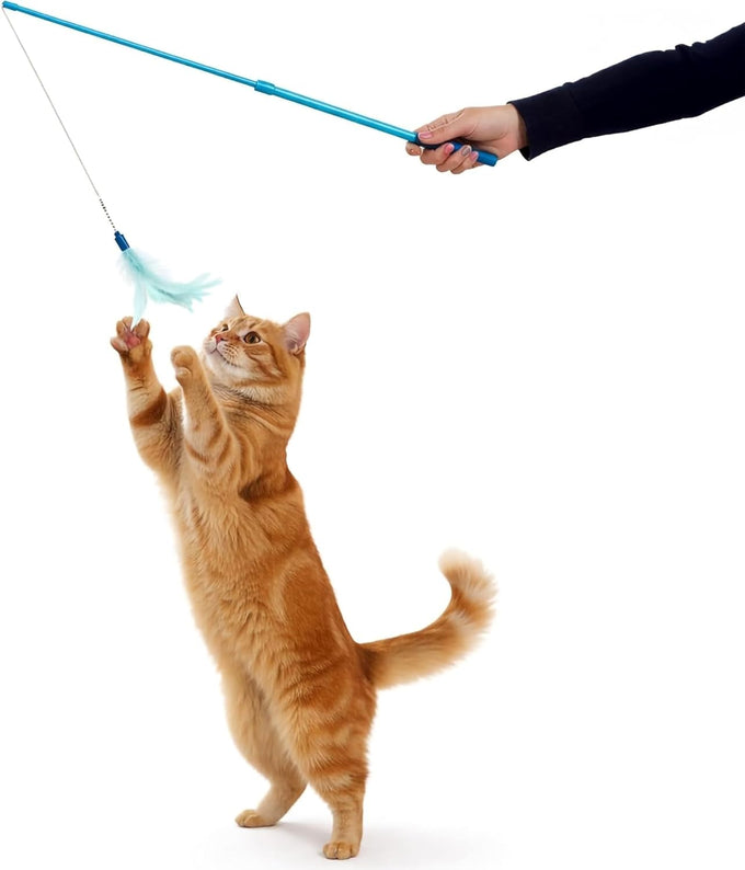 SmartyKat Frisky Flyer Extendable Cat Toy, Blue, One Size, 24" Reach