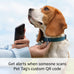 Ring Easy-to-use Pet Tag with QR Code for Real-time Scan Alerts, Shareable Pet Profile, No Subscription or Fees