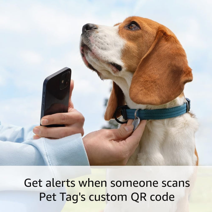Ring Easy-to-use Pet Tag with QR Code for Real-time Scan Alerts, Shareable Pet Profile, No Subscription or Fees