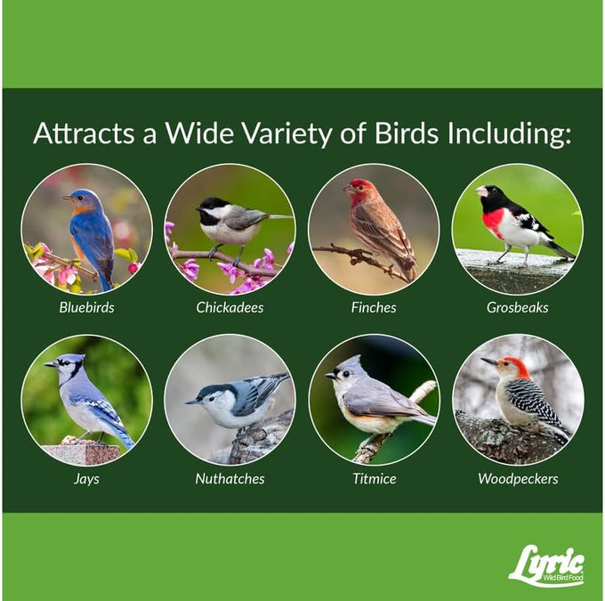 Lyric Fine Tunes Wild Bird Seed Mix for Outside Feeders - 5 lb Bag - Attracts Bluebirds, Finches, Chickadees & More