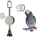 Colorday bird talking coach & interactive voice bell for parakeet parrots, easy voice recording & durable metal construction